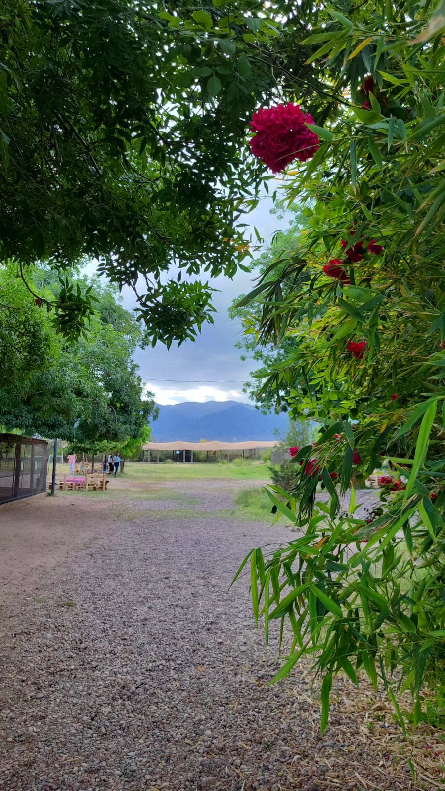 Espacios verdes del Complejo Lumen para eventos al aire libre